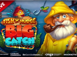 Färgglad reklam för spelet Fish 'n' Nudge Big Catch med fiskare, fiskespö och tecknad fisk i bakgrunden.