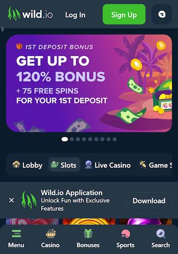Lobby of Wild.io