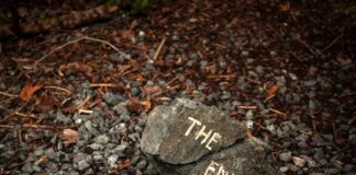 A rock with the words "THE END" painted on it, resting on gravel and surrounded by fallen leaves and twigs.
